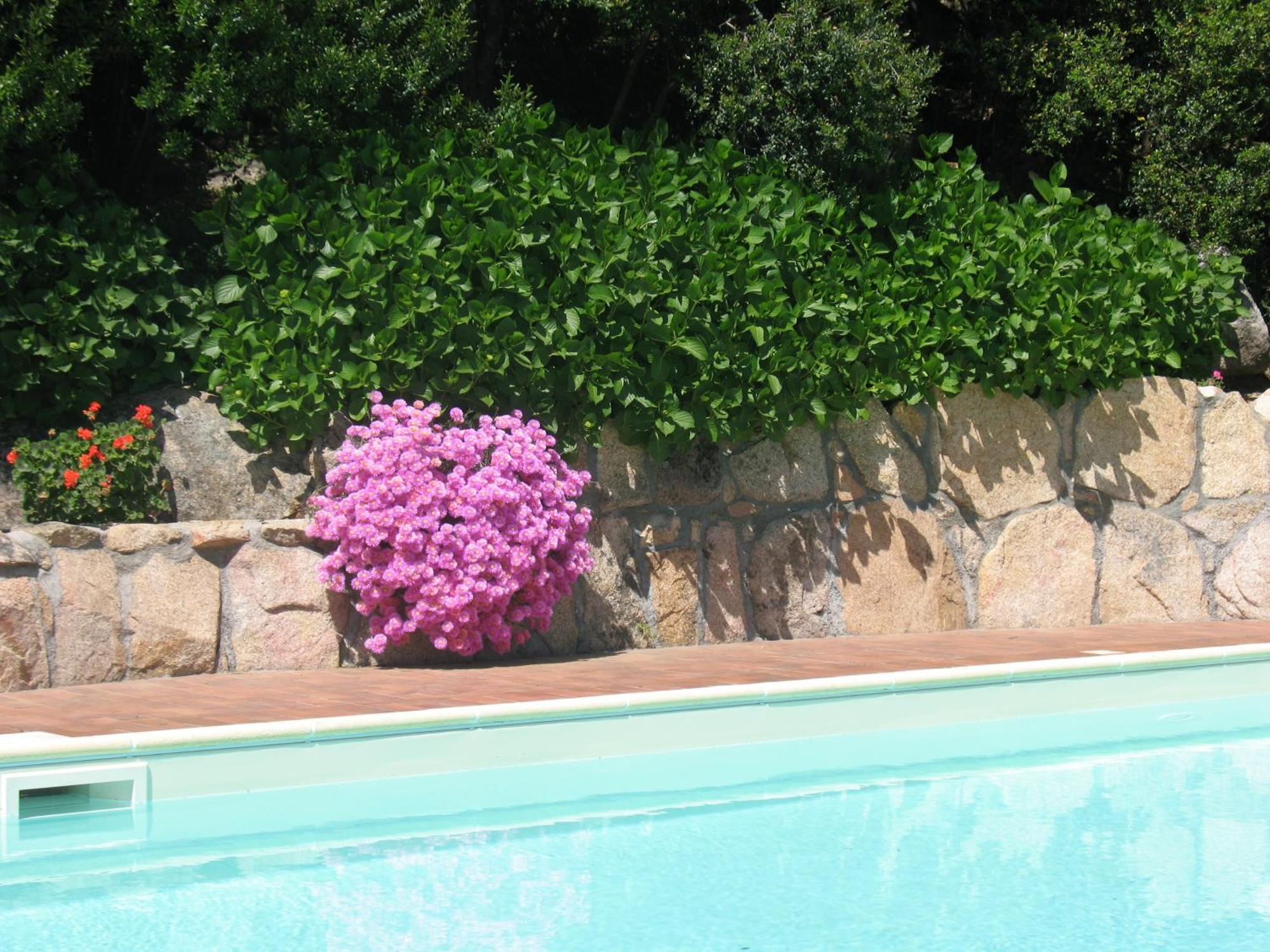 Hotel San Trano Luogosanto ภายนอก รูปภาพ